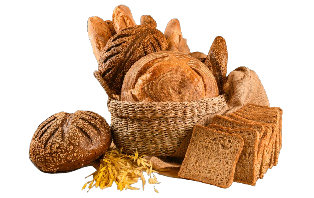 Capture_d_écran_2024-11-20_144533-removebg-preview