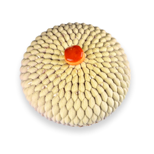 Big Cardamom Cake -1PC